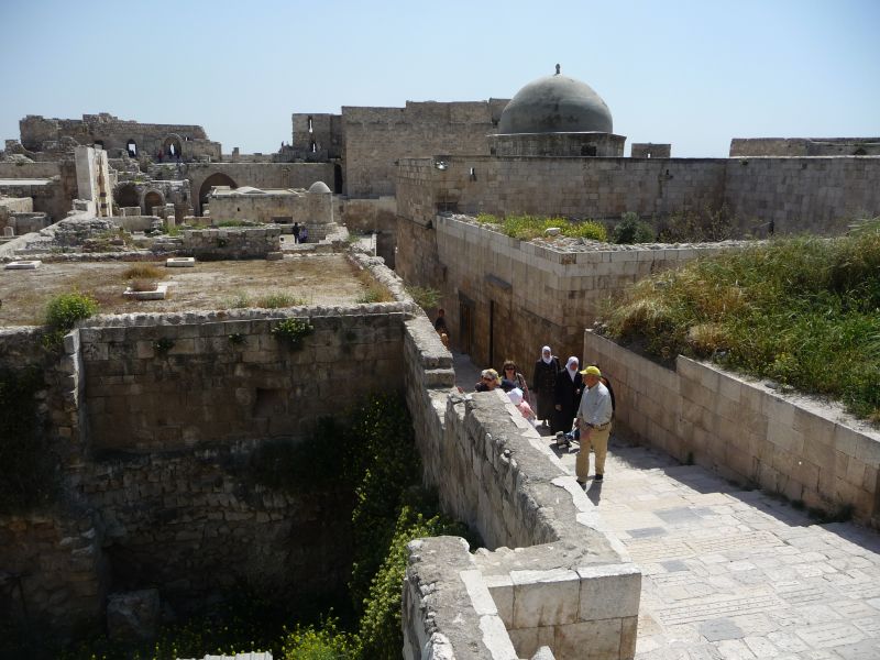 P1030155.JPG